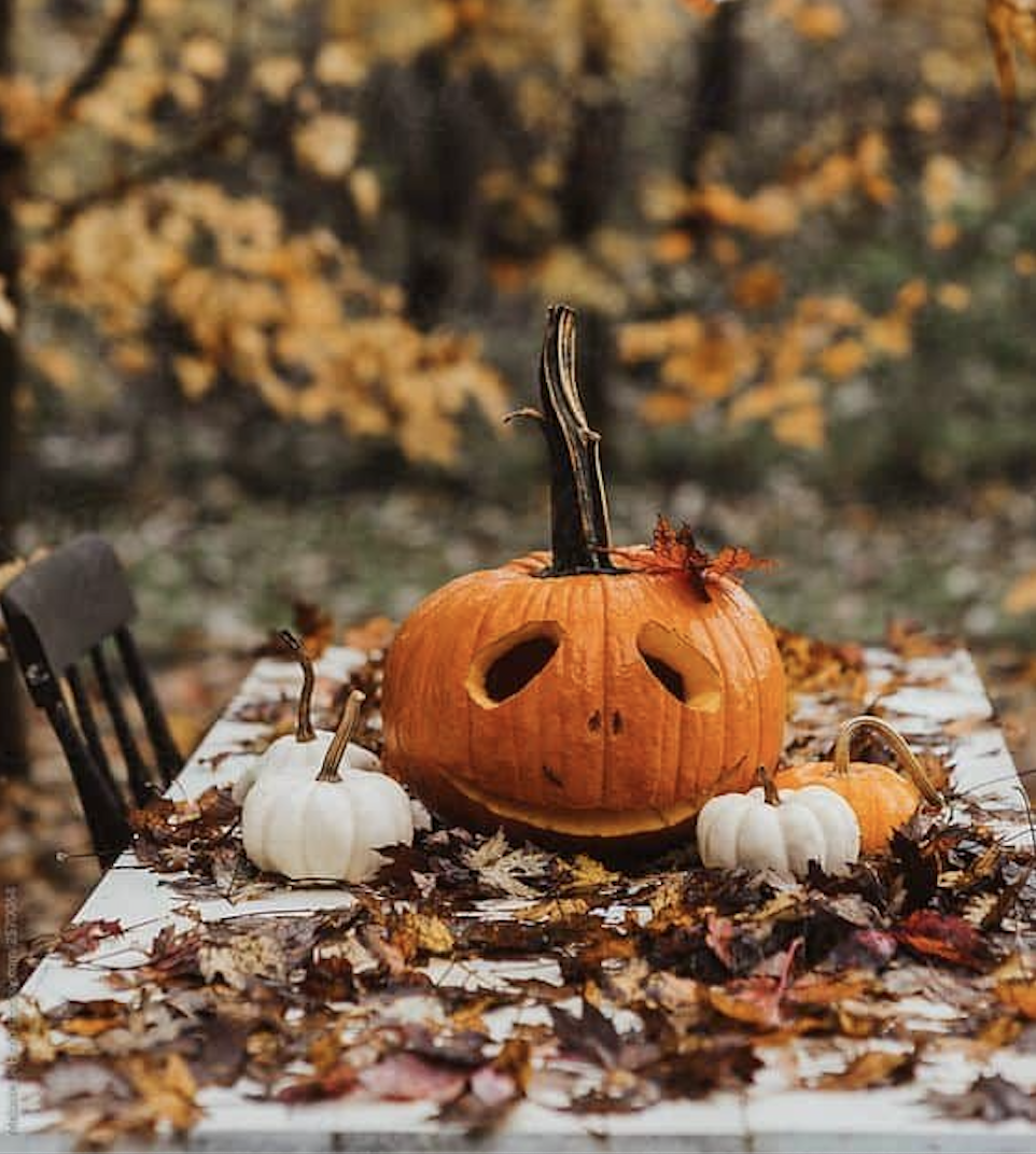 Зображення до Святкування Хеловіну 🎃